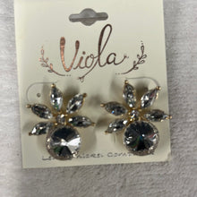 Load image into Gallery viewer, Earrings for Any Outfit
