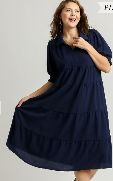 Simple Sassy Navy Plus Dress